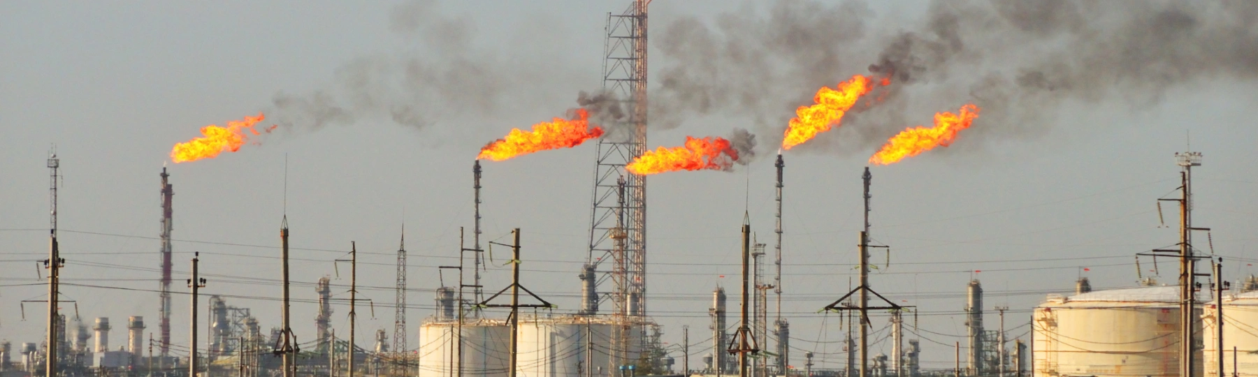 A new deal to funnel taxpayer money to Gina Rinehart's Senex Energy proves the Crisafulli Government is putting fossil fuel profits ahead of everyday Queenslanders