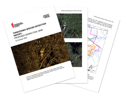 Cover page of the report, Gemini Mine Threatened Species Detection