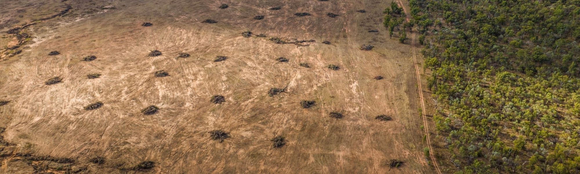 The EPBC amendments introduced into Parliament must be strengthened to address habitat loss, the greatest threat to endangered species