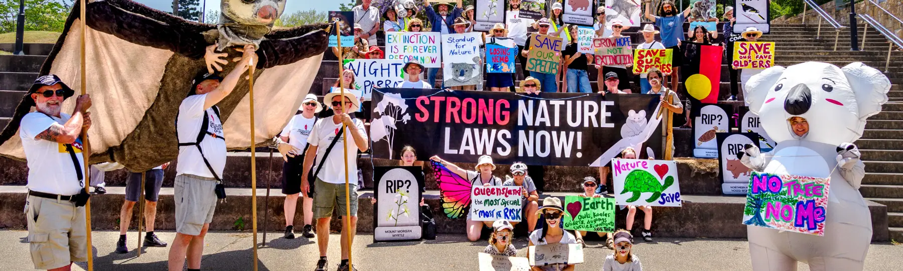 QCC warmly welcomes a new deal struck by the Australian Government and Greens to improve the national nature law reforms before Parliament