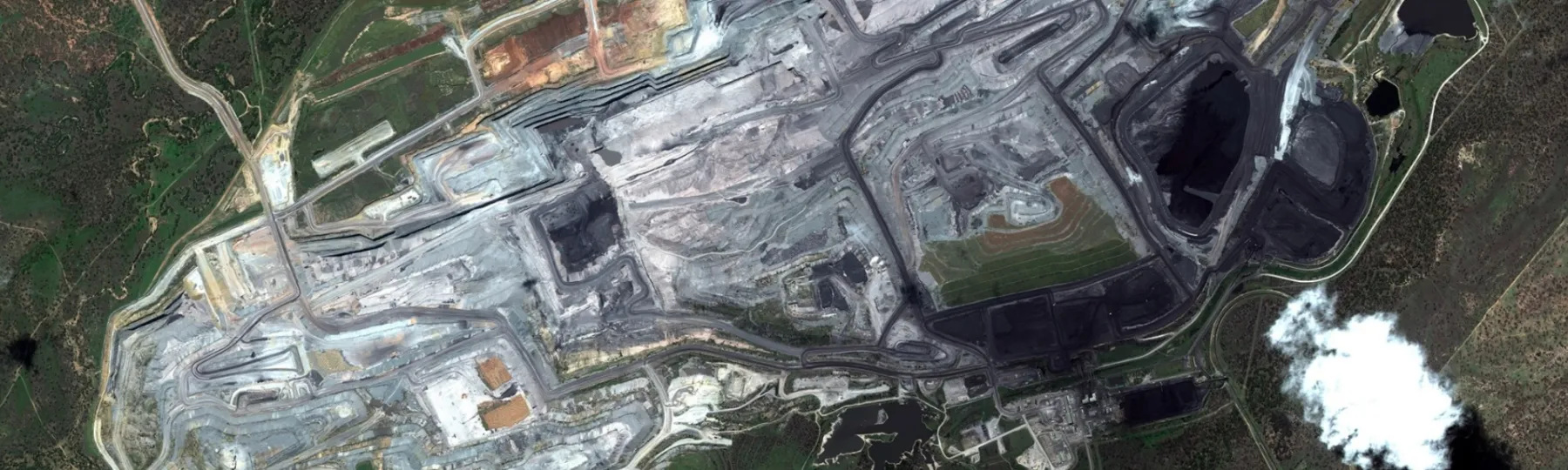 The Crisafulli government has approved an extension to Glencore's super polluting Hail Creek coal mine on Widi country in Central Queensland, allowing the destruction of 600 hectares of nationally significant koala habitat