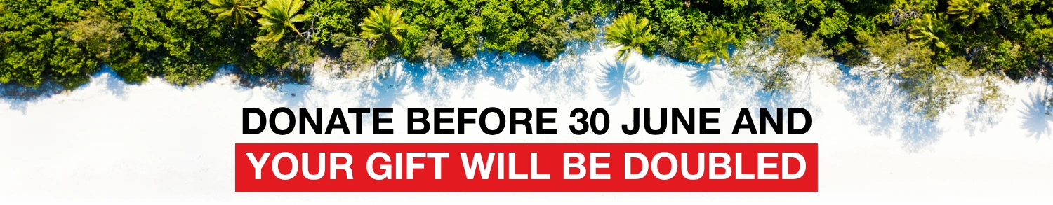 Rainforest, beach, and ocean meet in Queensland