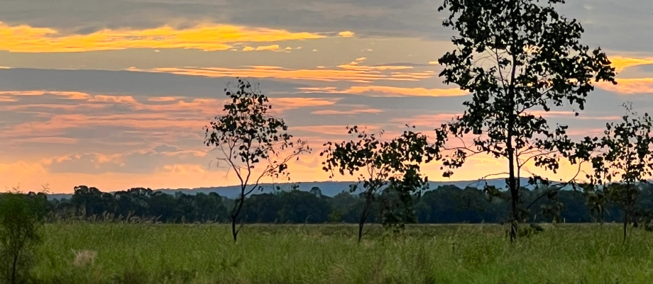 View of the Dawson Range across the plains, at risk of being covered up by mine spoils if the Baralaba South Coal project goes ahead
