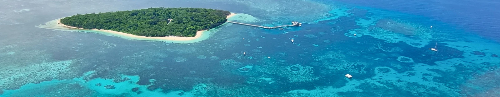 Australia’s State and Territory Conservation Councils have raised concerns that the Federal Budget will undermine protections for world heritage places like the Great Barrier Reef