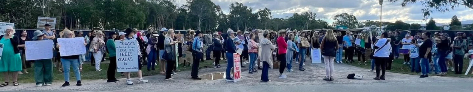 Locals rally outside Ormiston College, asking the school to stop clearing koala habitat
