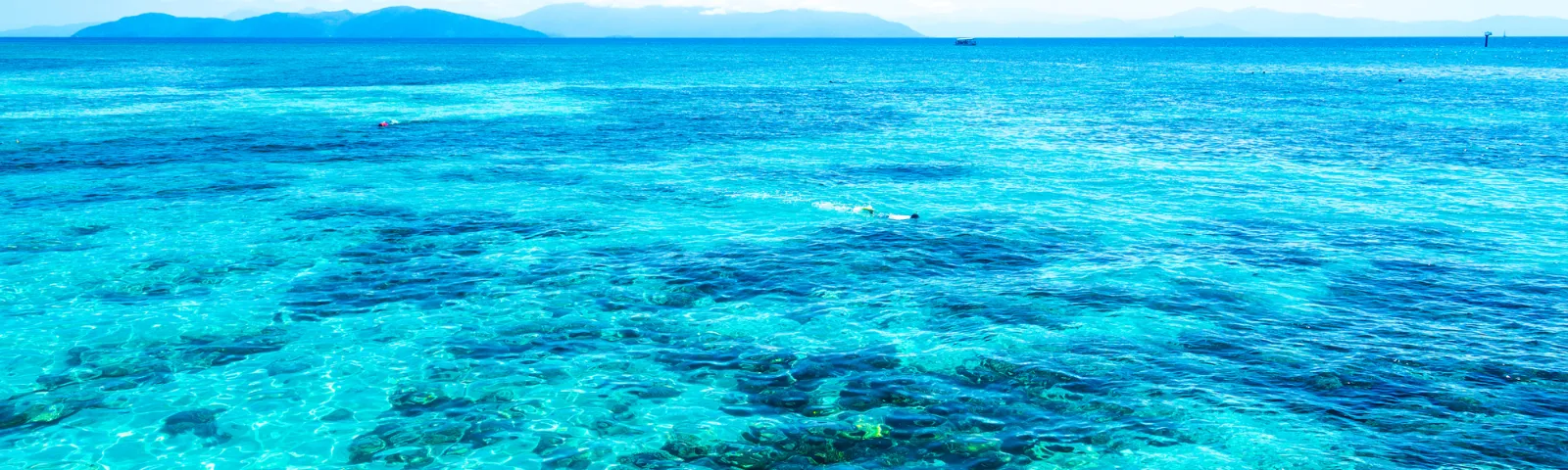 The Queensland Conservation Council has welcomed a record $330 million commitment in the next state budget to protect the Great Barrier Reef