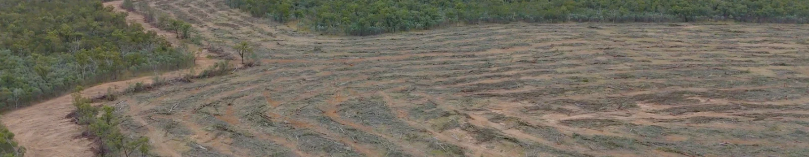 Remnant forest cleared by Magnetic South to build the Gemini coal mine