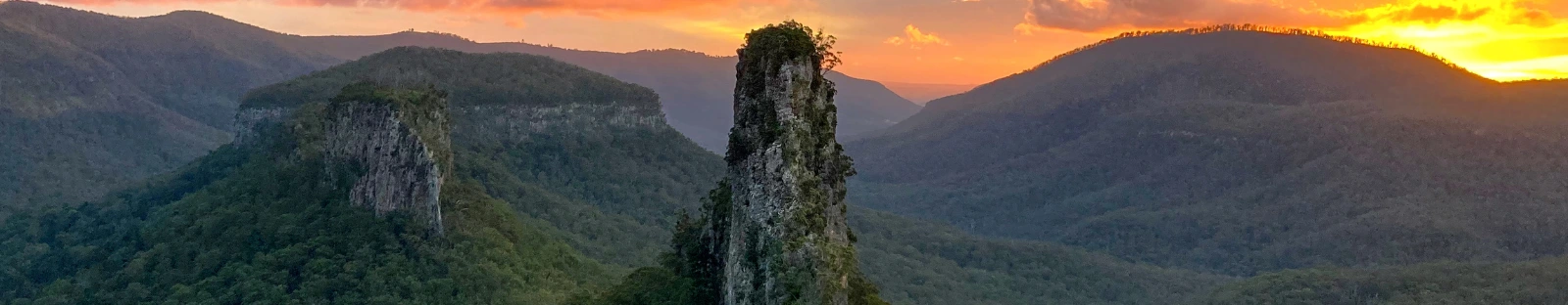 Key environmental positives and negatives for nature and climate from this week's Queensland State Budget