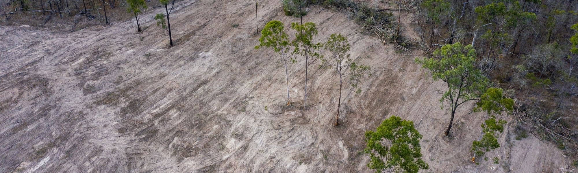 End Deforestation in Qld
