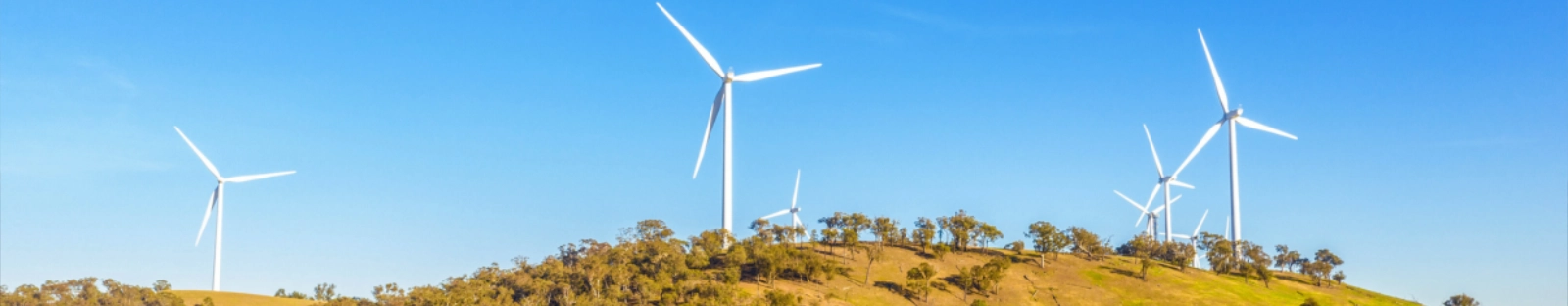 We can improve the roll out of renewable energy