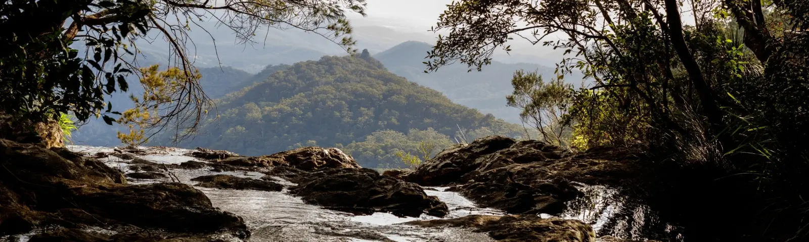View from a waterfall in world heritage listed Springbrook National Park, the proposed site of a cableway