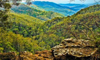 No cableway in Springbrook National Park