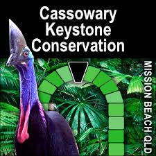 https://www.facebook.com/cassowarykeystoneconservation/