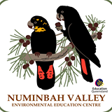 Numinbah Valley Environmental Education Centre