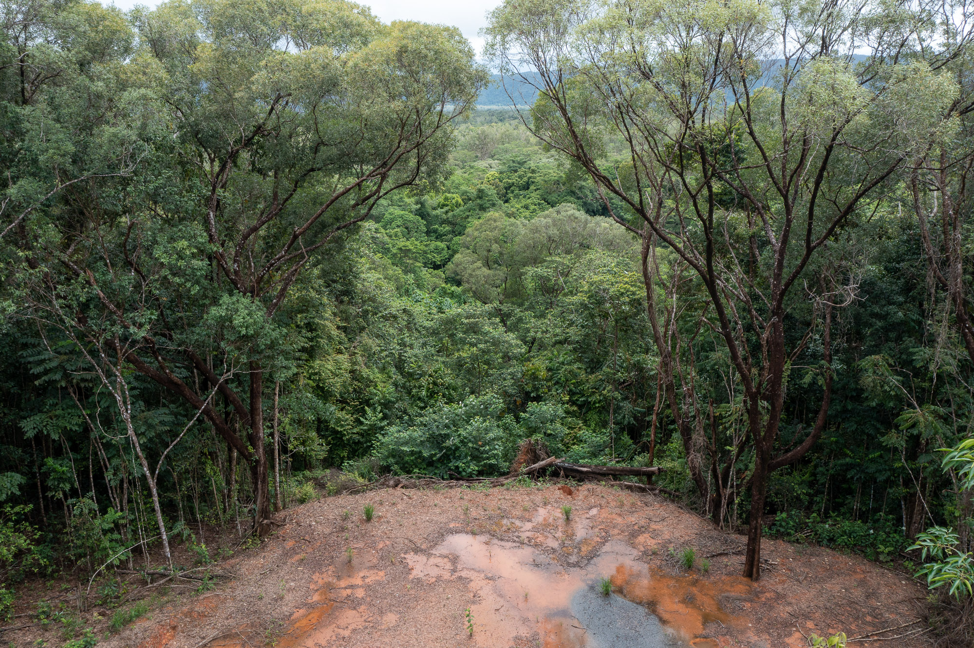 Lot 26 Ronald Road | Save the Daintree