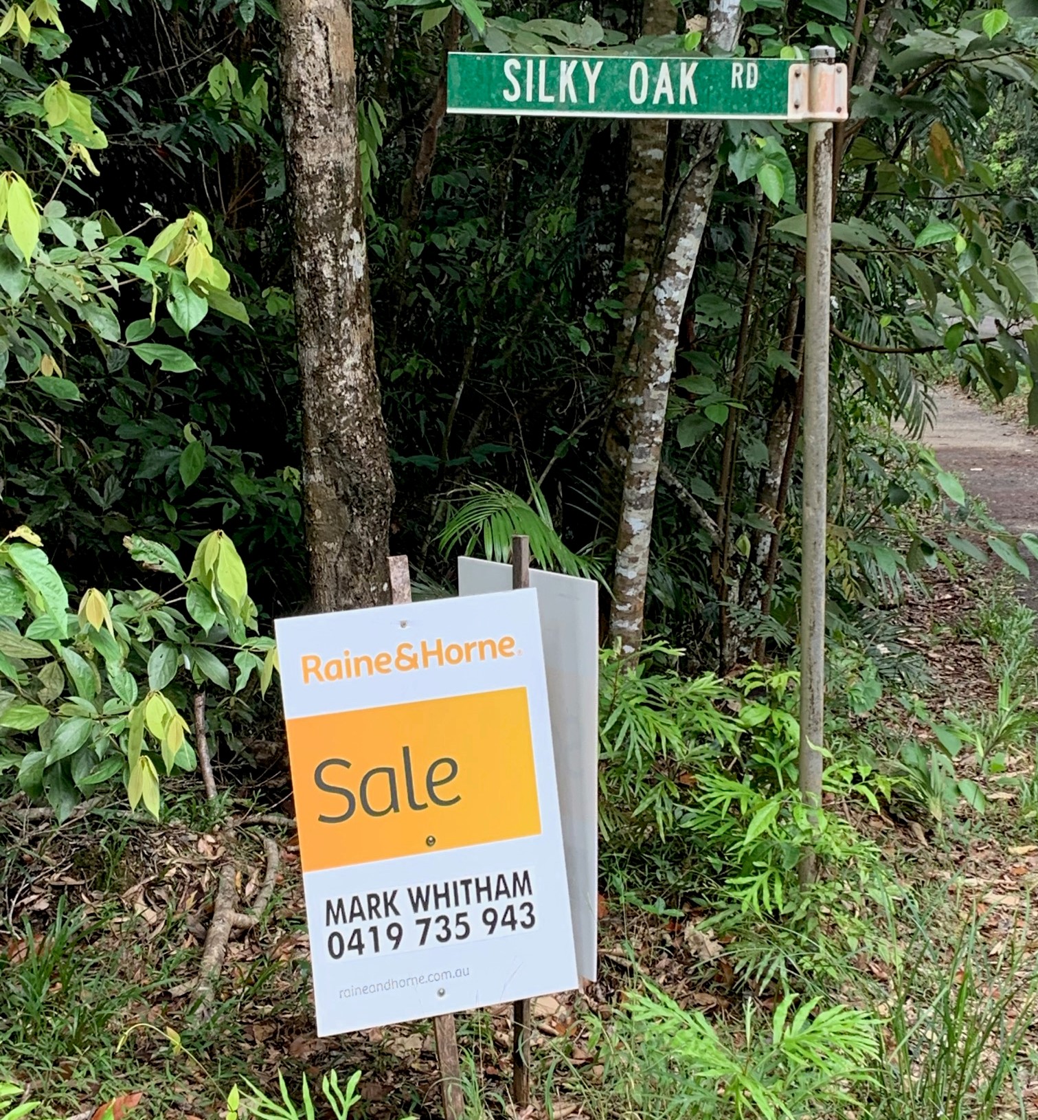 New Project Help double the impact with the purchase of two Daintree