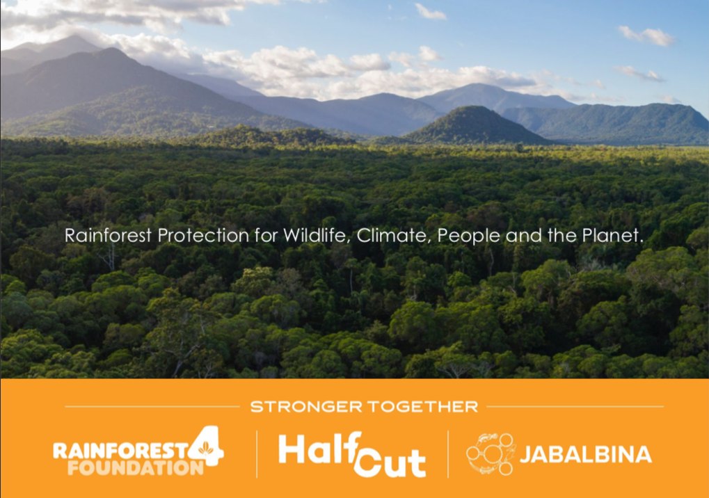 Daintree properties returned to eastern Kuku Yalanji Rainforest 4