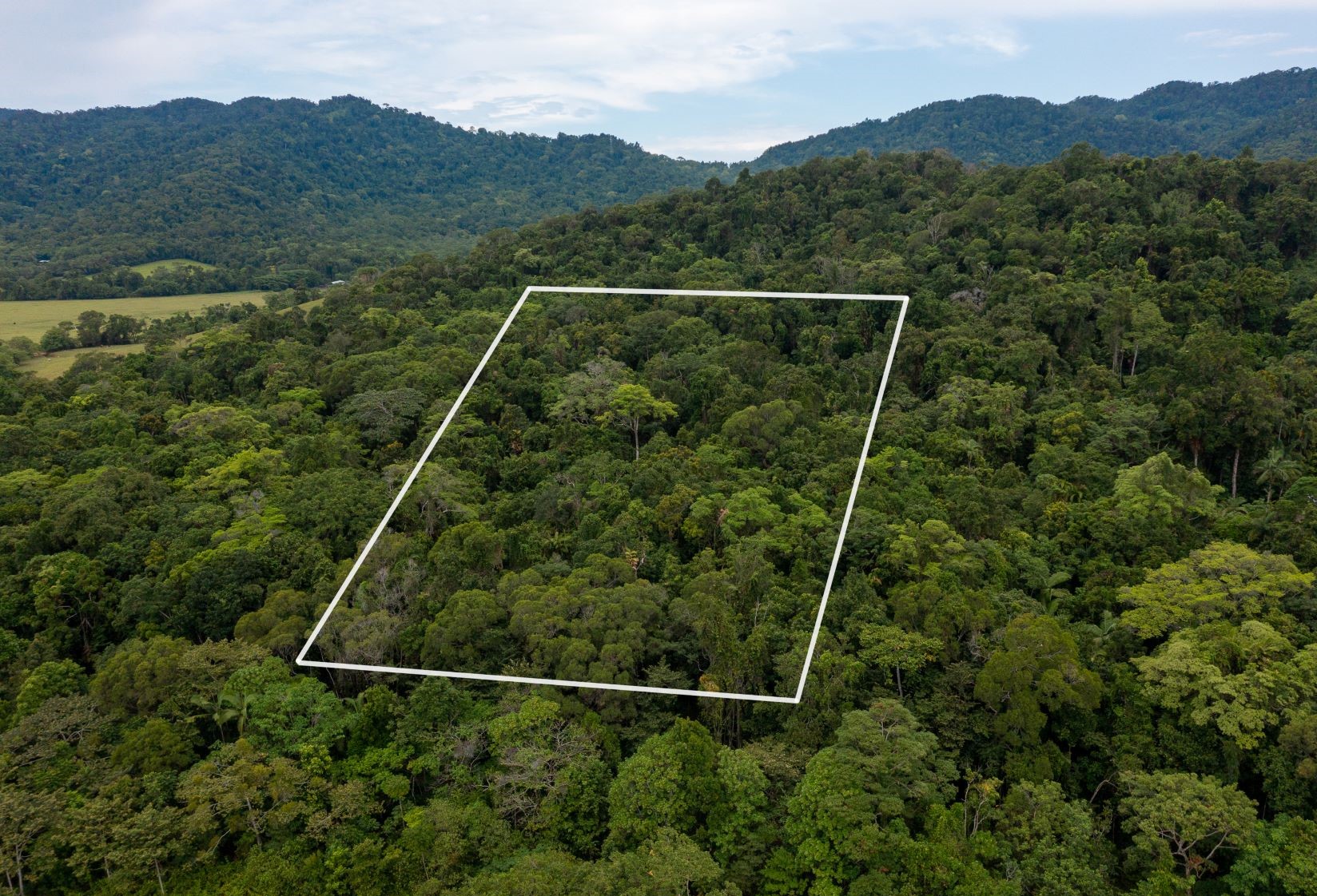 12 Daintree properties purchased in the past 12 months Rainforest 4