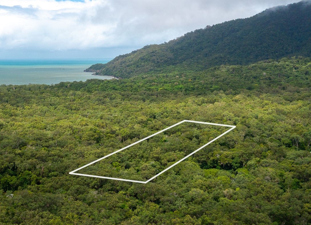 12 Daintree properties purchased in the past 12 months Rainforest 4