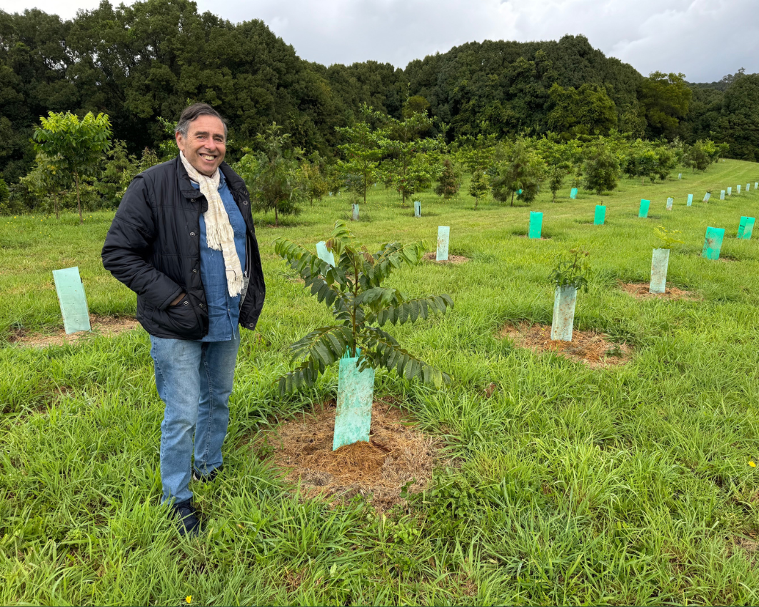 George Lewin's Rainforest Connection