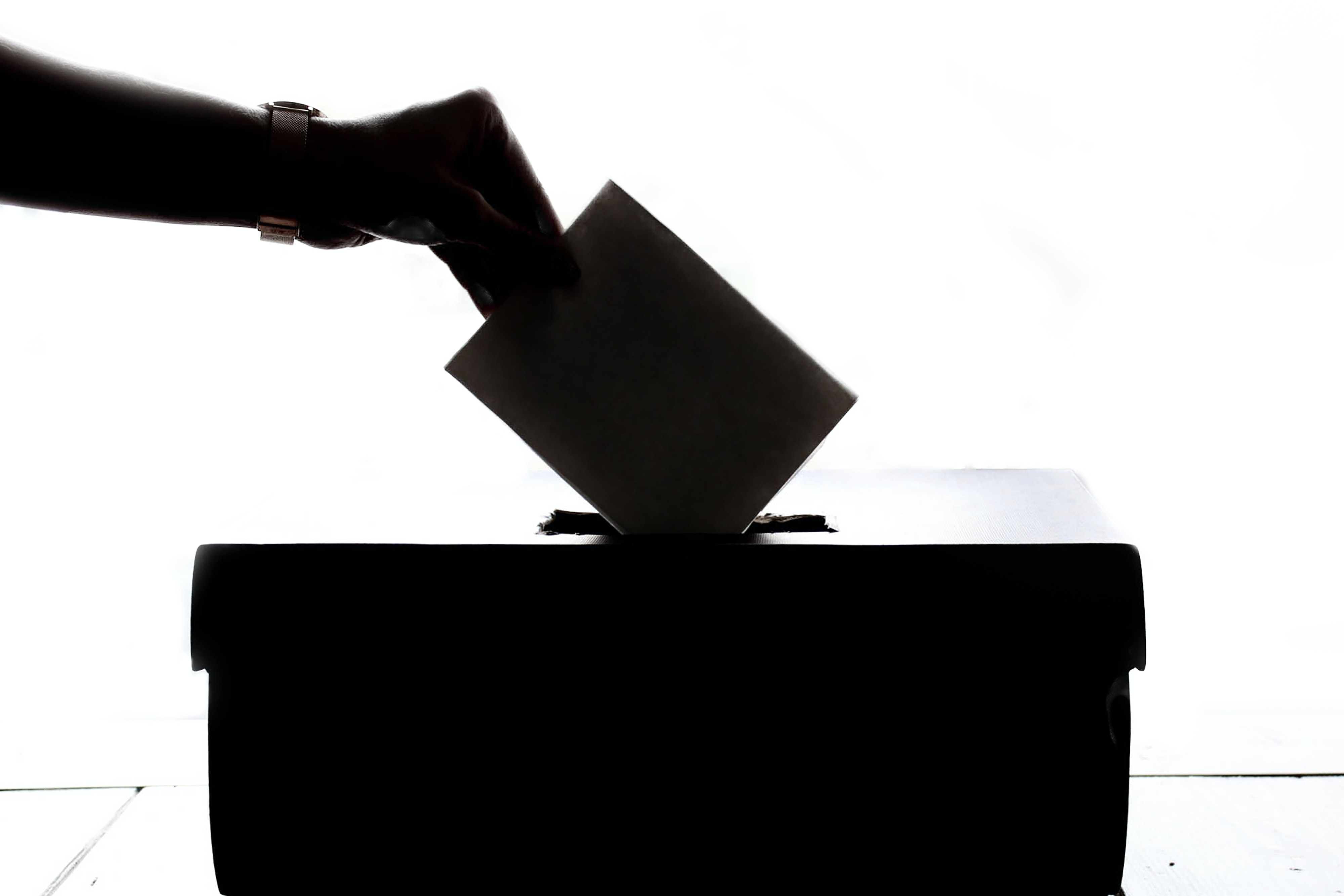 West Virginia’s RCV Ban Would Be
Self-Defeating