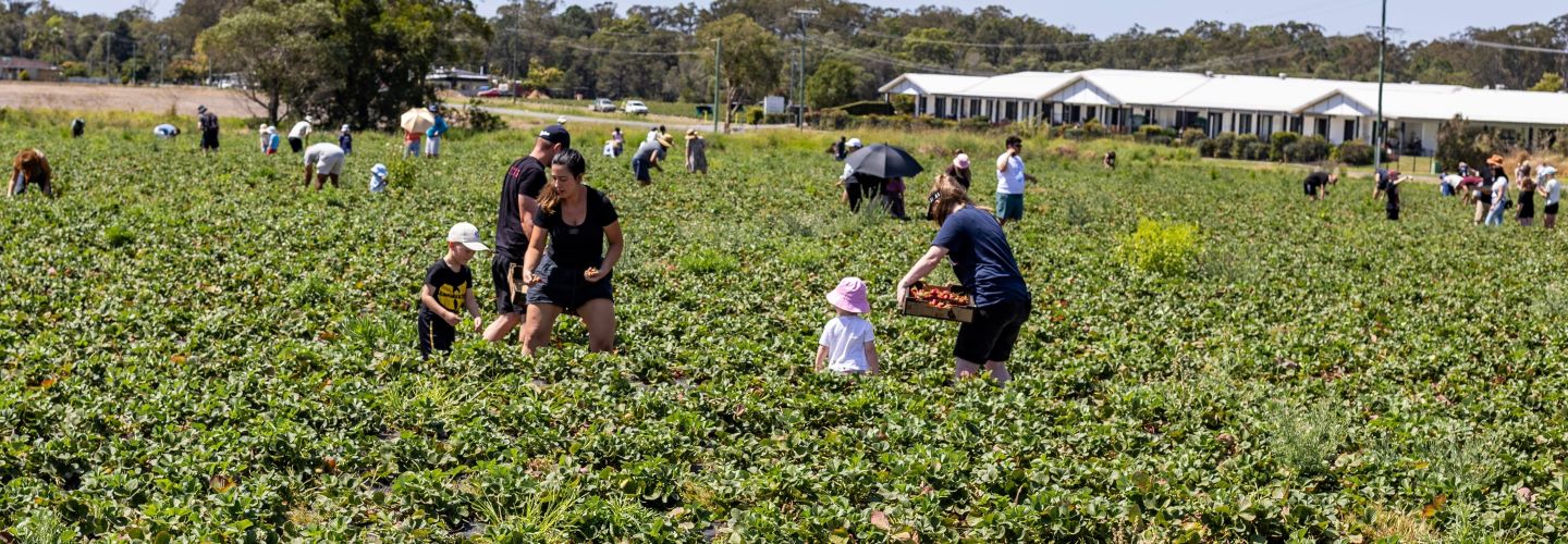 Woodford Wamuran Labor | 