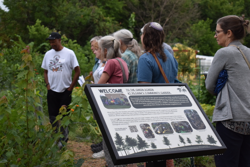 A 1-year-old mini-forest growing along the northeast corner of Pilgrim's Community Garden, where it is expected to boost pollinator habitat, enhance pest control, and lower temperatures for gardeners.