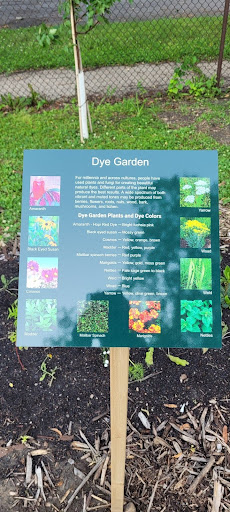 Tim Page’s dye garden