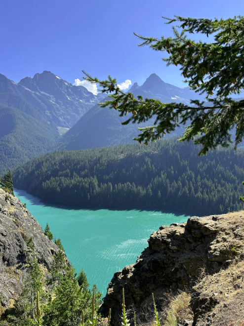 A vivid view of Lake Ross in Washington State, with turquoise water surrounded by dense evergreen forest. Mountain peaks rise in the background beneath a clear blue sky, and a pine branch extends into the frame from above.