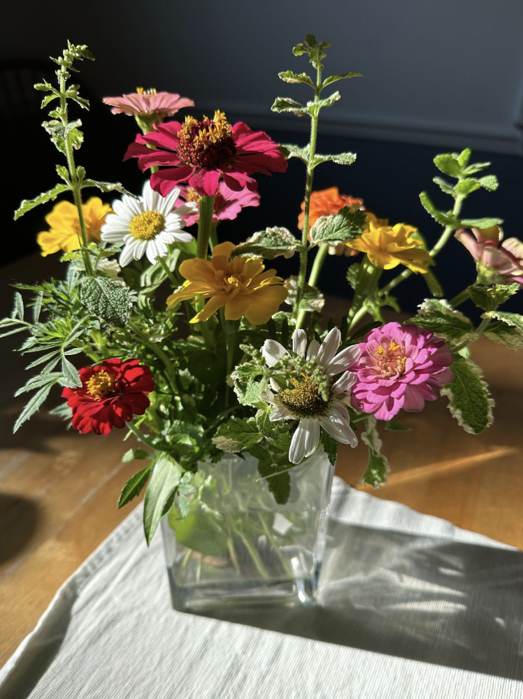 Zinnias & marigolds are thriving in my late-summer garden