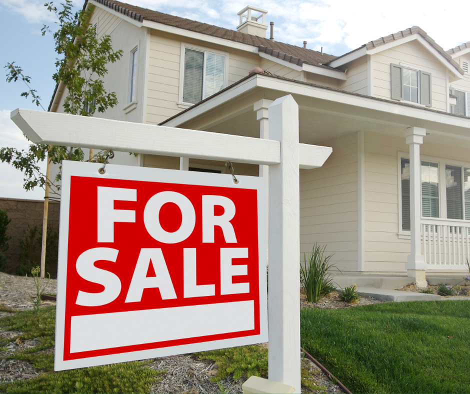 Government must act on Four Corners revelations Greens Robert Simms MLC