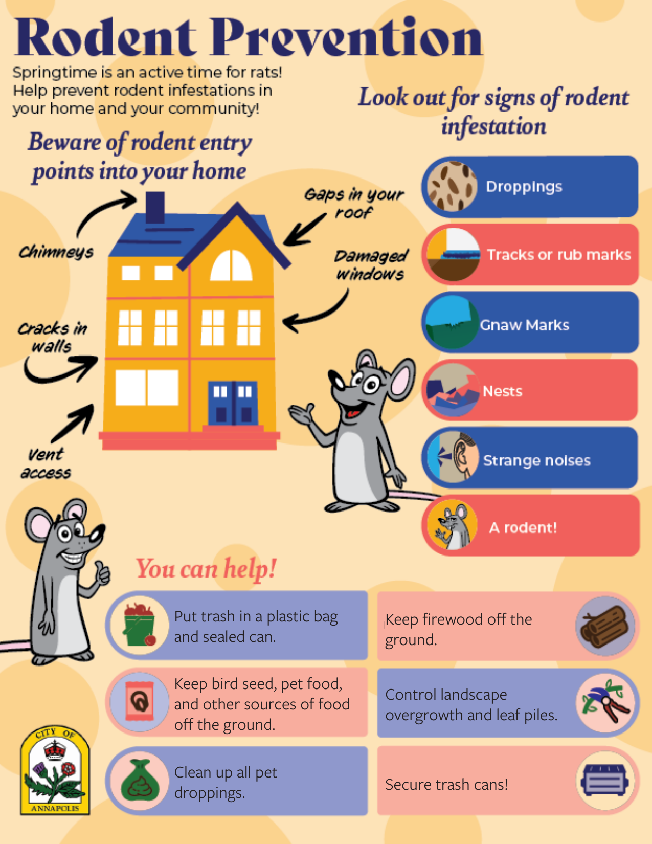 City of Annapolis rodent prevention flyer: entry points, signs of infestation, and prevention tips