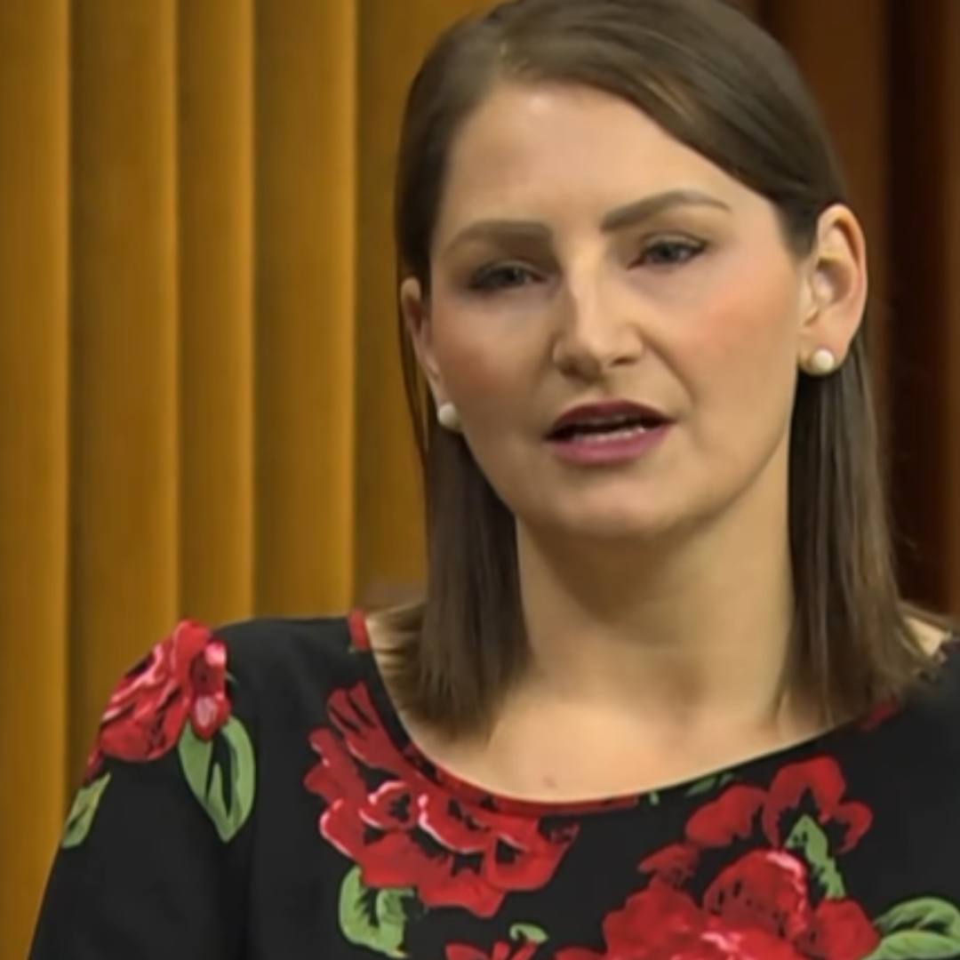 Canadians Deserve an Election Now