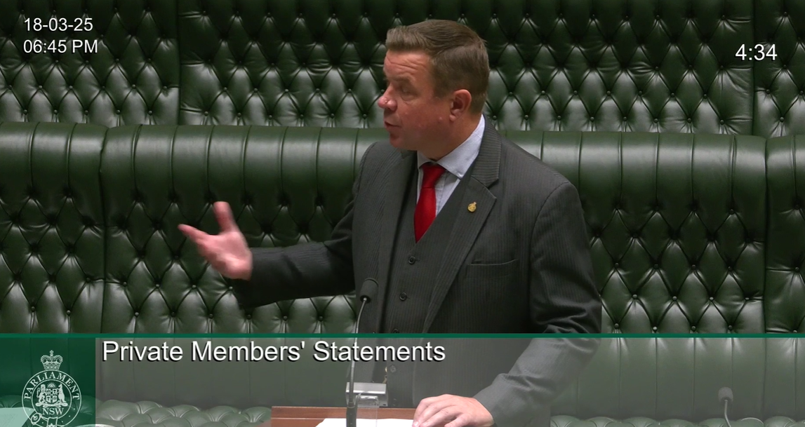 Private Members Statement 18 March 2025 Inaccurate census data and its impacts Image