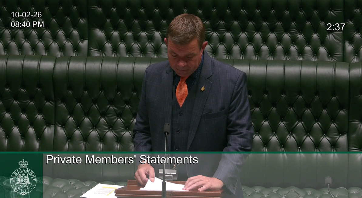 Private Members Statement 10 Feb 2026 Domestic and Family Violence Image