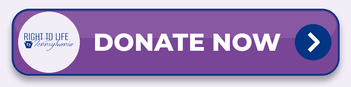 Donate now