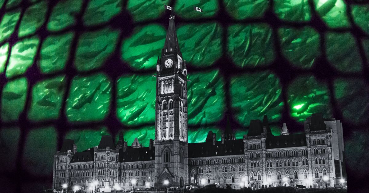 An image of Centre Block at Parliament Hill in the foreground. In the background is an image of a factory fish farm pen, taken underwater, with fish swimming in it. A green light casts the image in a eerie light.