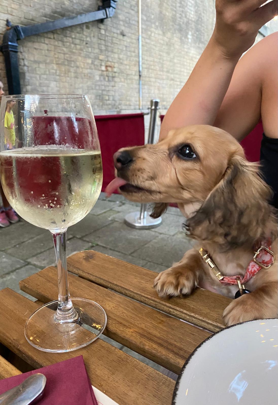 All Watering Holes 🫗