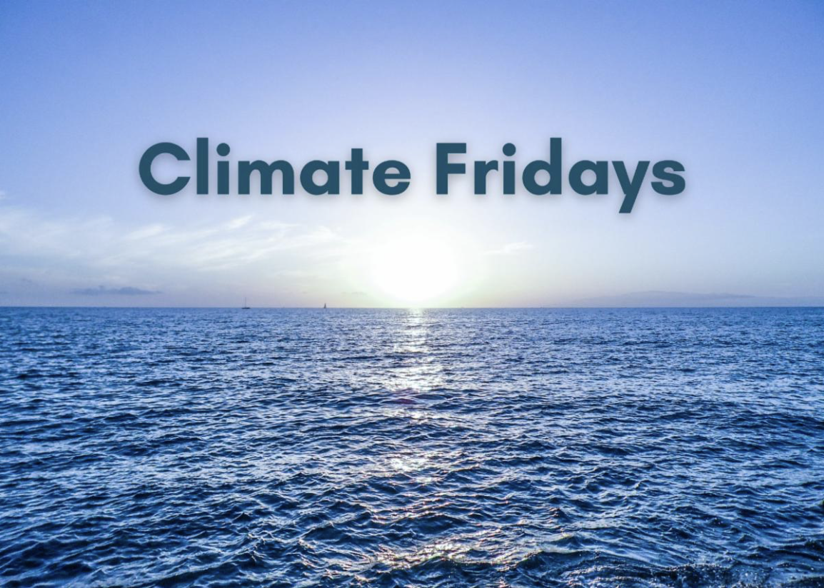 Climate_Fridays.png