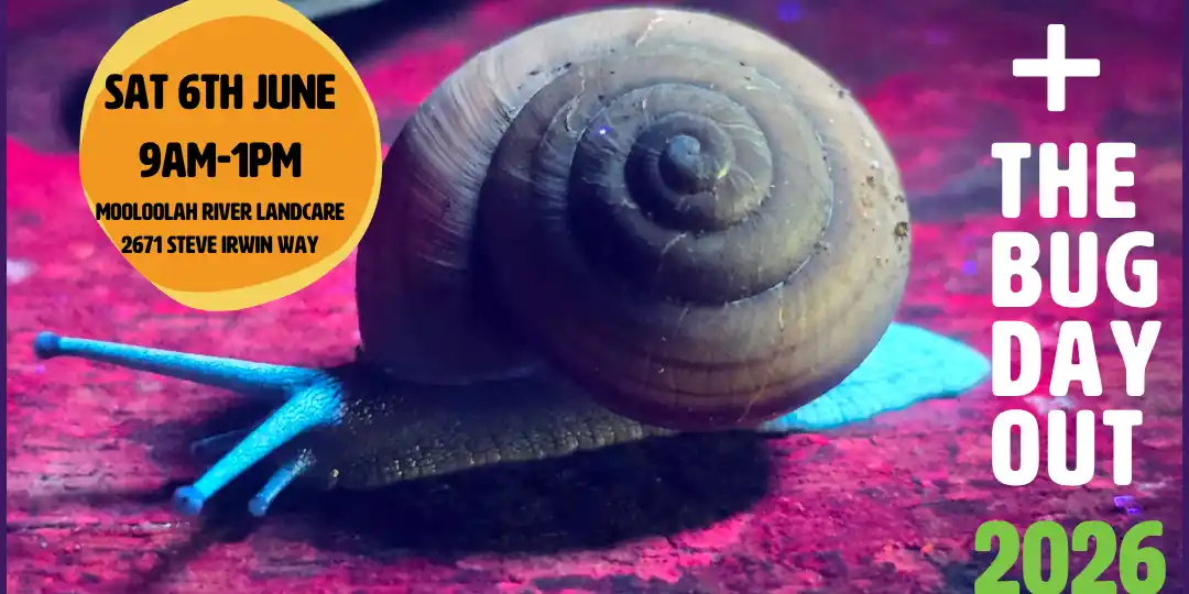 WEDFest - Mooloolah River Landcare - Big Day Out