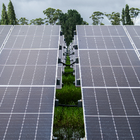 Coll Electrical Limited - Twin Rivers Solar Farm preview image
