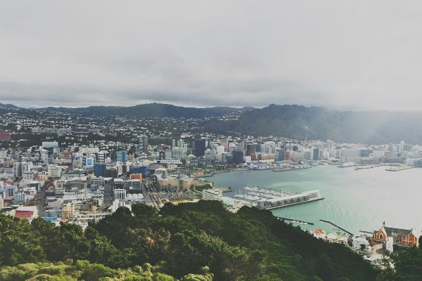 SEANZ Group Meeting 2026 : Wellington preview image