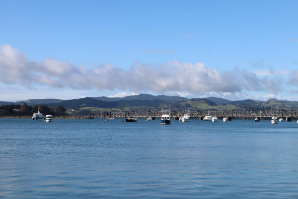 SEANZ Group Meeting 2026 : Tauranga preview image