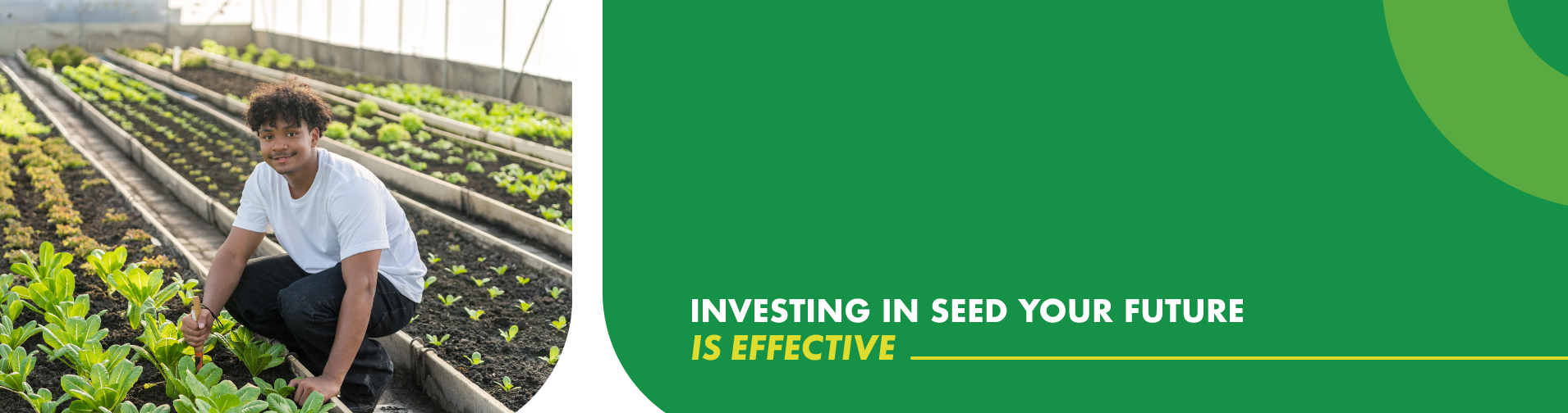 Young man planting crops