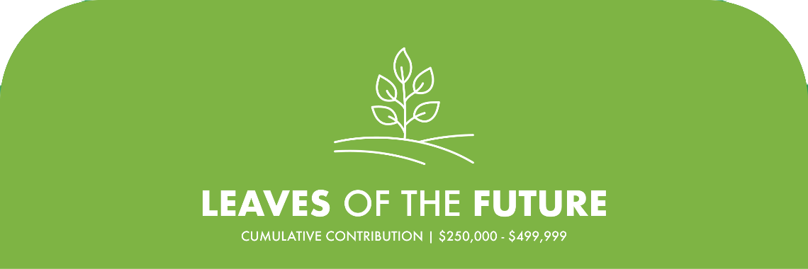 Leaves Banner - Sponsorship Level