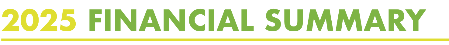 Financial-Summary-Logo