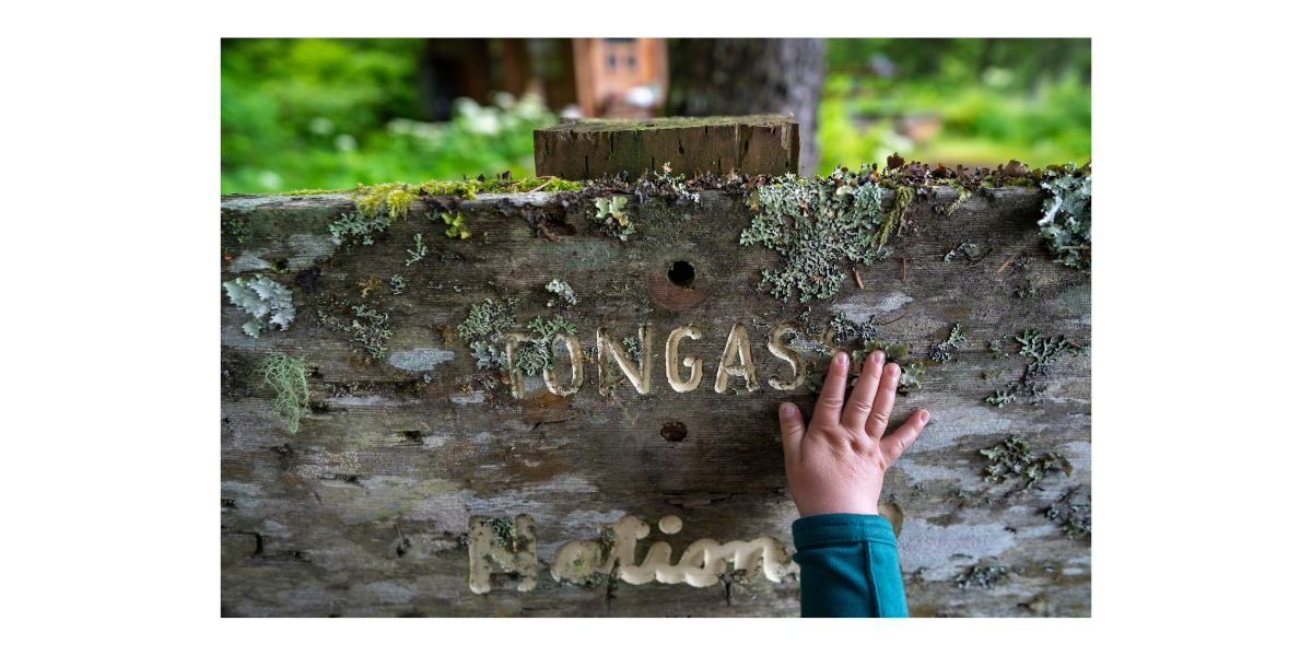 By Bethany Goodrich By Bethany Goodrich