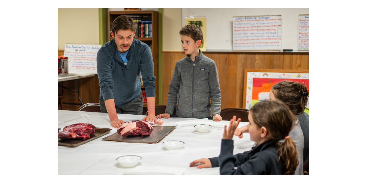 By Lione Clare By Lione Clare