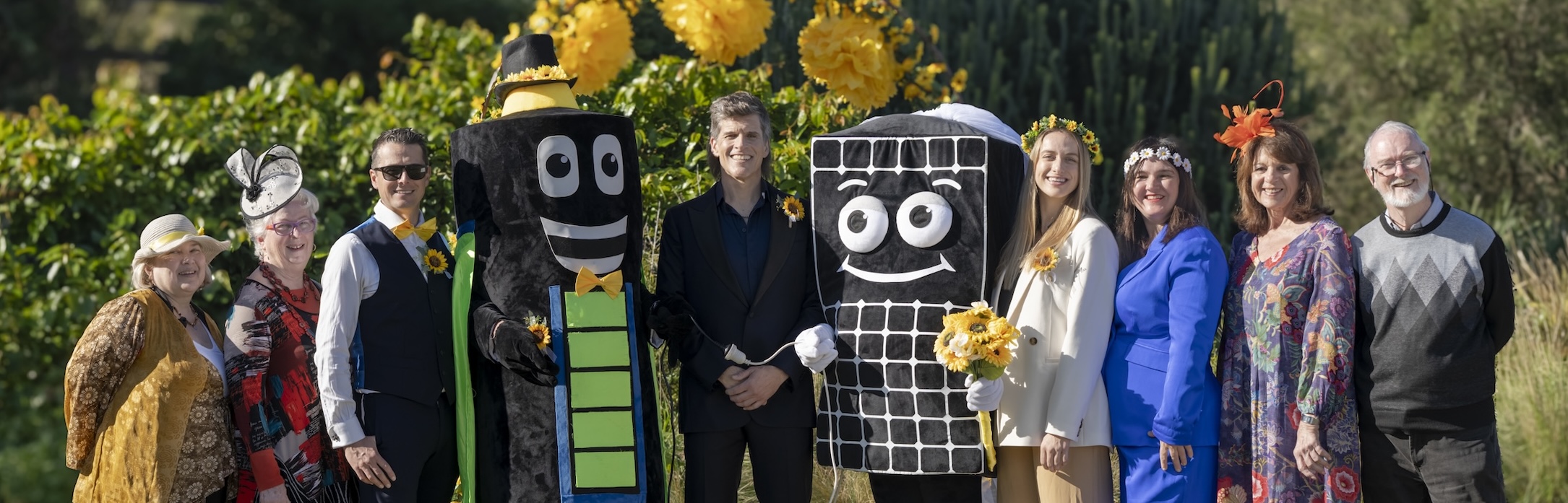 Wedding of Ms Solar Power & Mr Battery - 1 July 2025