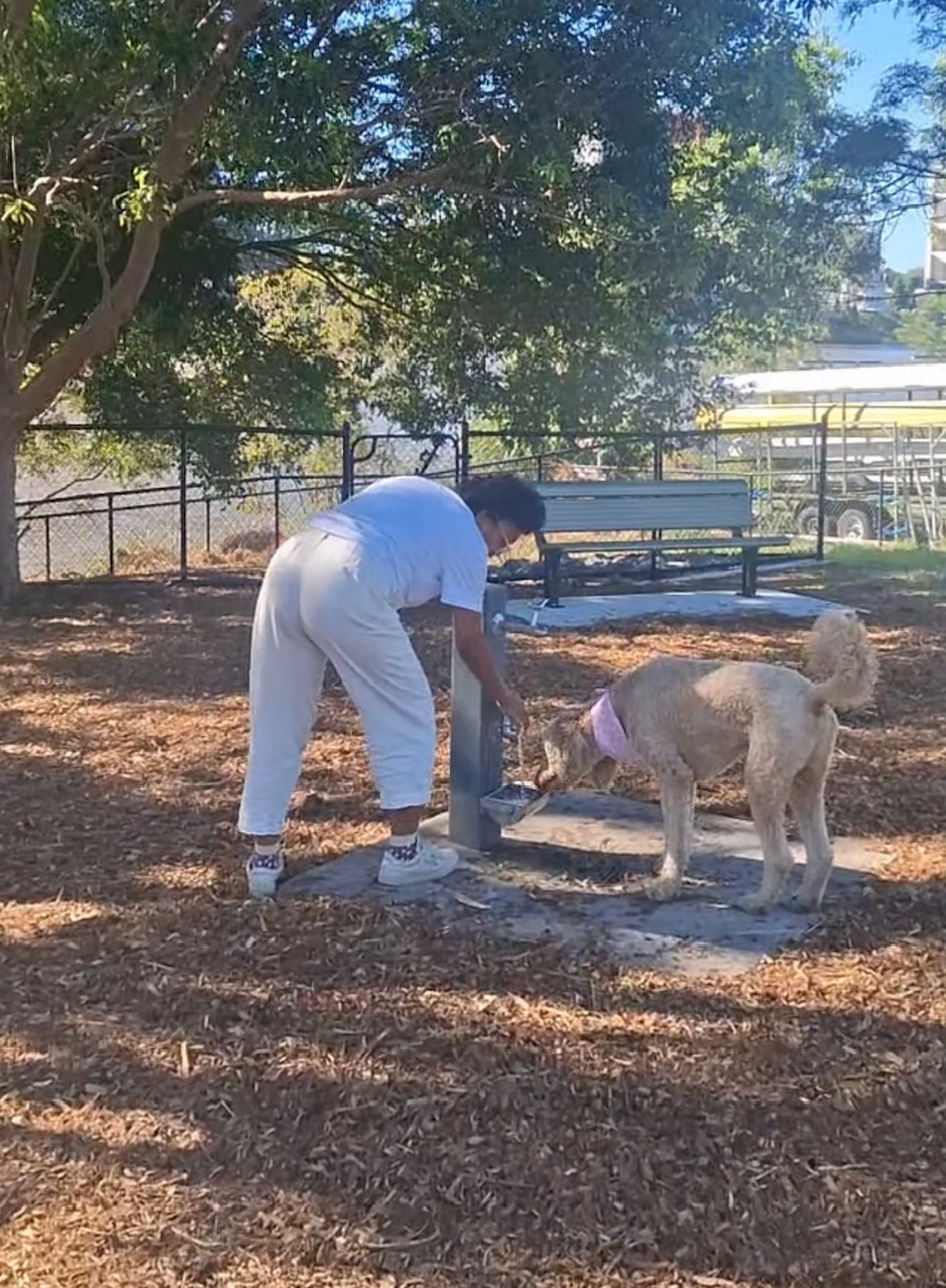 image of Trina in Orleigh Park Dog Park patting a dog
